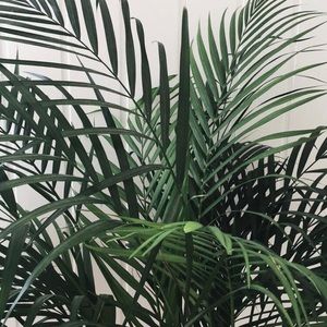 Meet your Posher, Florie